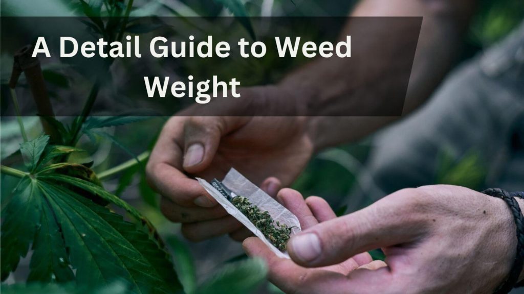 how-to-measure-weed-weight